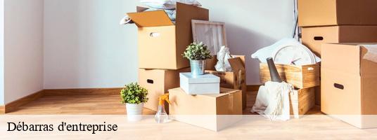 Débarras d'entreprise le-peage-38780 GT Location de benne