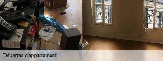 Débarras d'appartement saint-romain-de-jalionas-38460 GT Location de benne