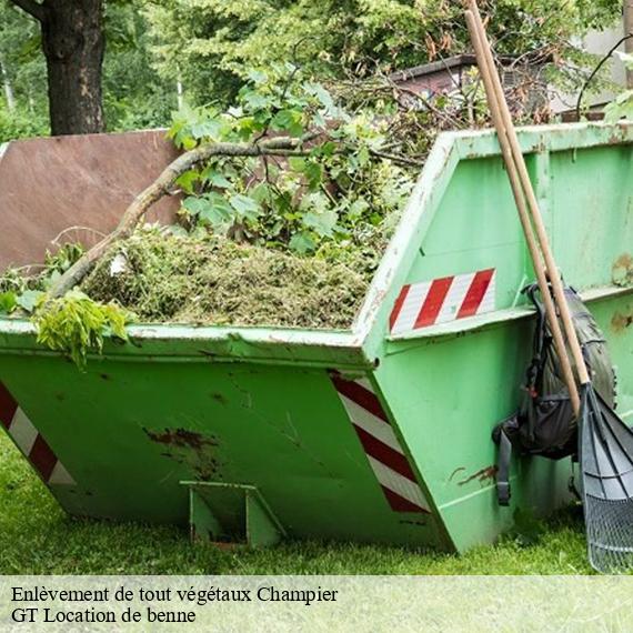 Enlèvement de tout végétaux champier-38260 GT Location de benne