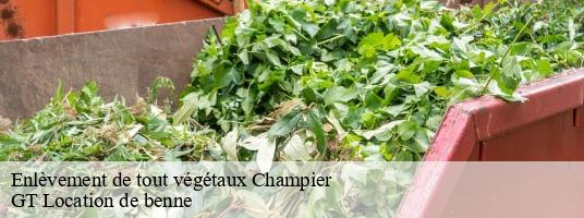 Enlèvement de tout végétaux champier-38260 GT Location de benne