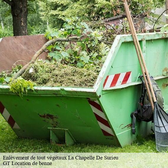 Enlèvement de tout végétaux la-chapelle-de-surieu-38150 GT Location de benne
