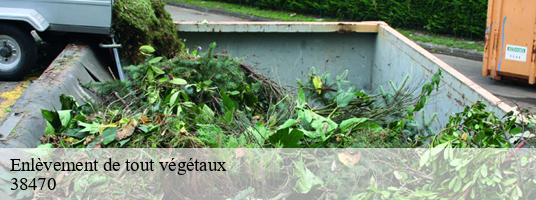 Enlèvement de tout végétaux chasselay-38470 GT Location de benne