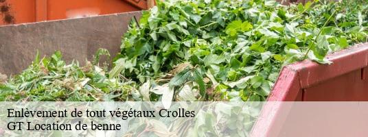 Enlèvement de tout végétaux crolles-38190 GT Location de benne