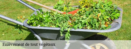Enlèvement de tout végétaux mont-de-lans-38860 GT Location de benne