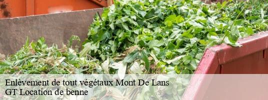 Enlèvement de tout végétaux mont-de-lans-38860 GT Location de benne