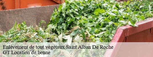 Enlèvement de tout végétaux saint-alban-de-roche-38300 GT Location de benne