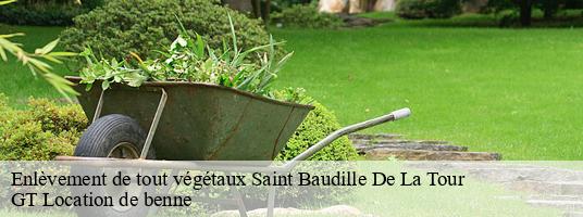 Enlèvement de tout végétaux saint-baudille-de-la-tour-38118 GT Location de benne