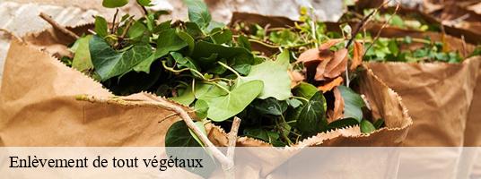 Enlèvement de tout végétaux sainte-luce-38970 GT Location de benne