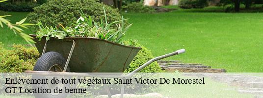 Enlèvement de tout végétaux saint-victor-de-morestel-38510 GT Location de benne