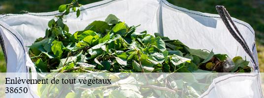 Enlèvement de tout végétaux sinard-38650 GT Location de benne