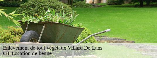 Enlèvement de tout végétaux villard-de-lans-38250 GT Location de benne
